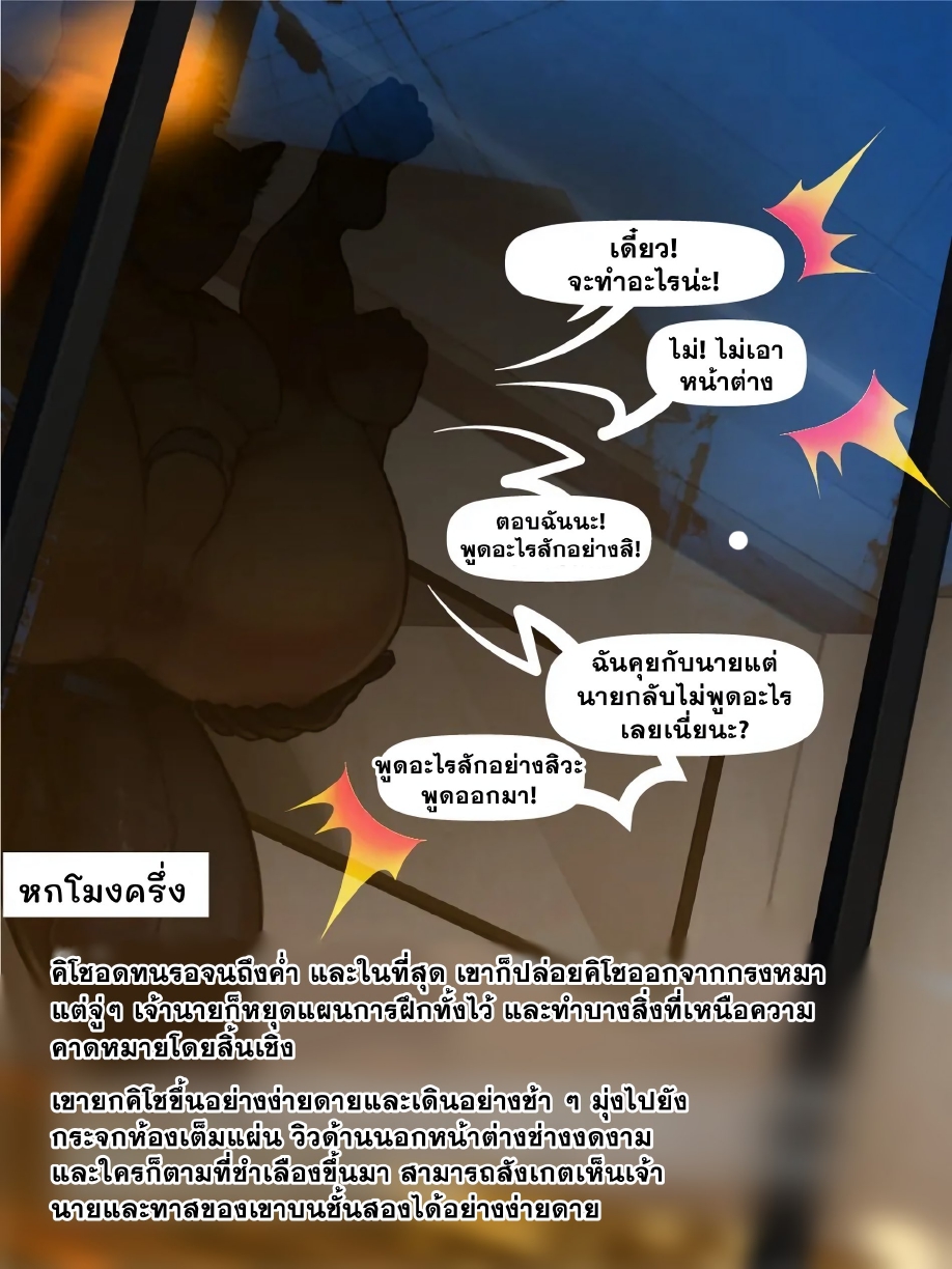 การฝึกระดับกลางของทาสหมา-42