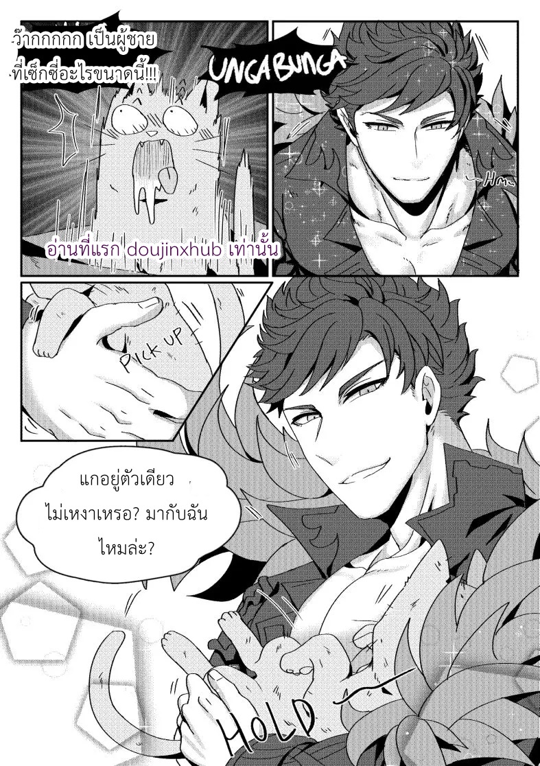 ไอ้แมวโชคดี-3