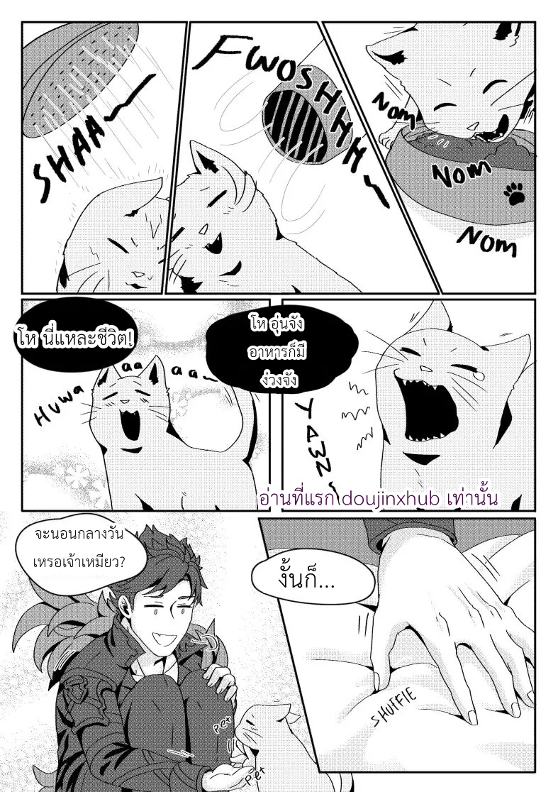 ไอ้แมวโชคดี-5