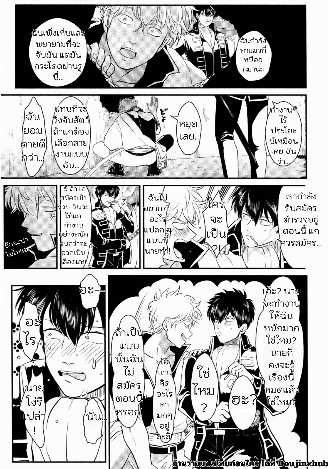ช่วยหาแมวจนติดกำแพง-7