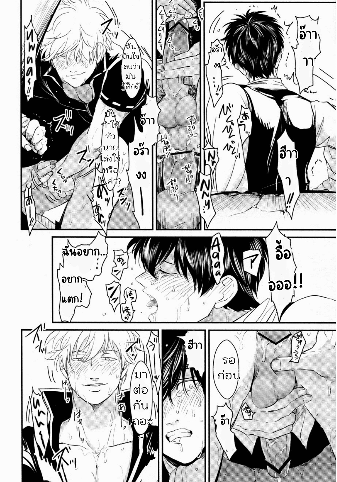 ช่วยหาแมวจนติดกำแพง-20