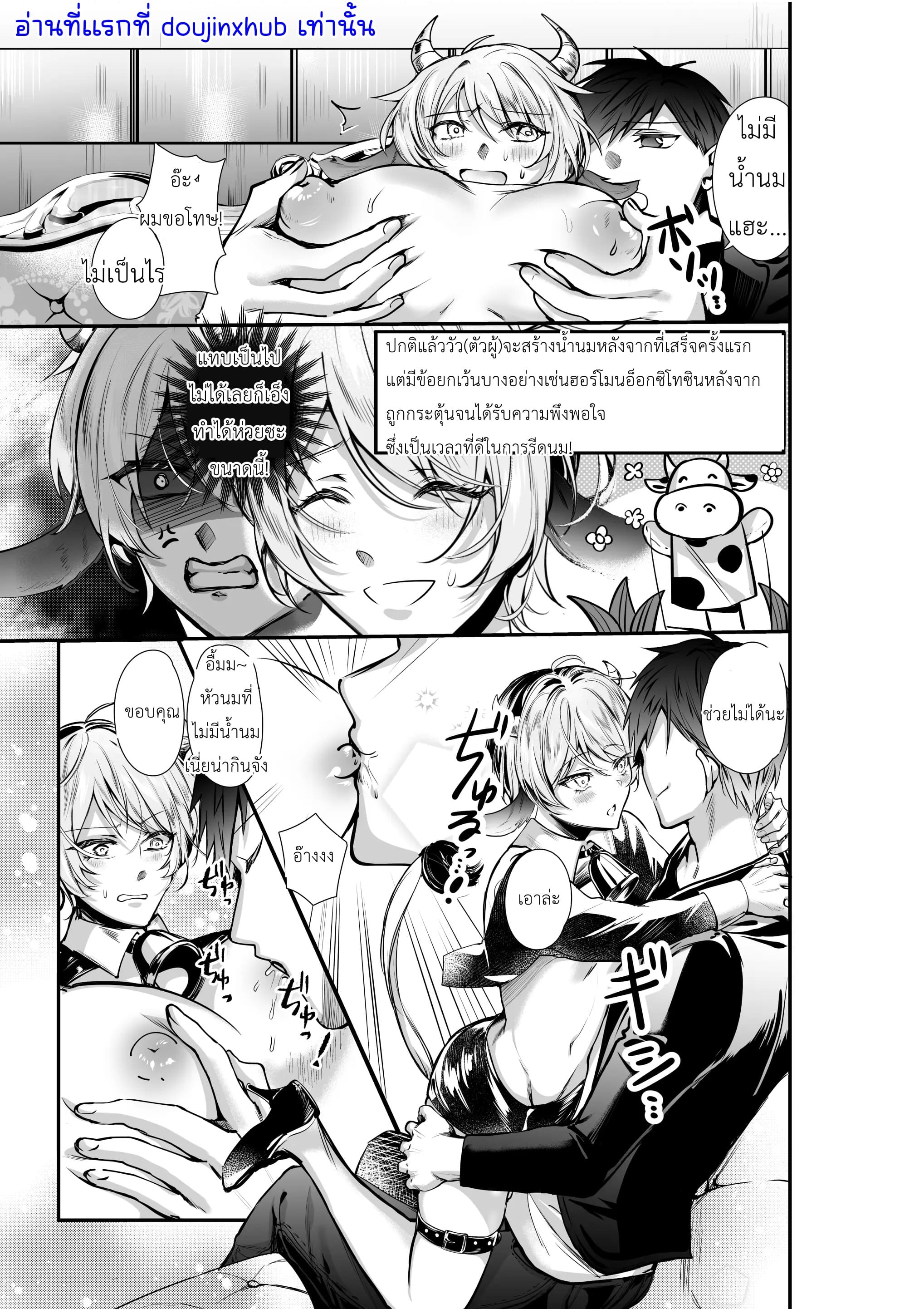 รีดน้ำจากวัวให้ได้มากที่สุด-4
