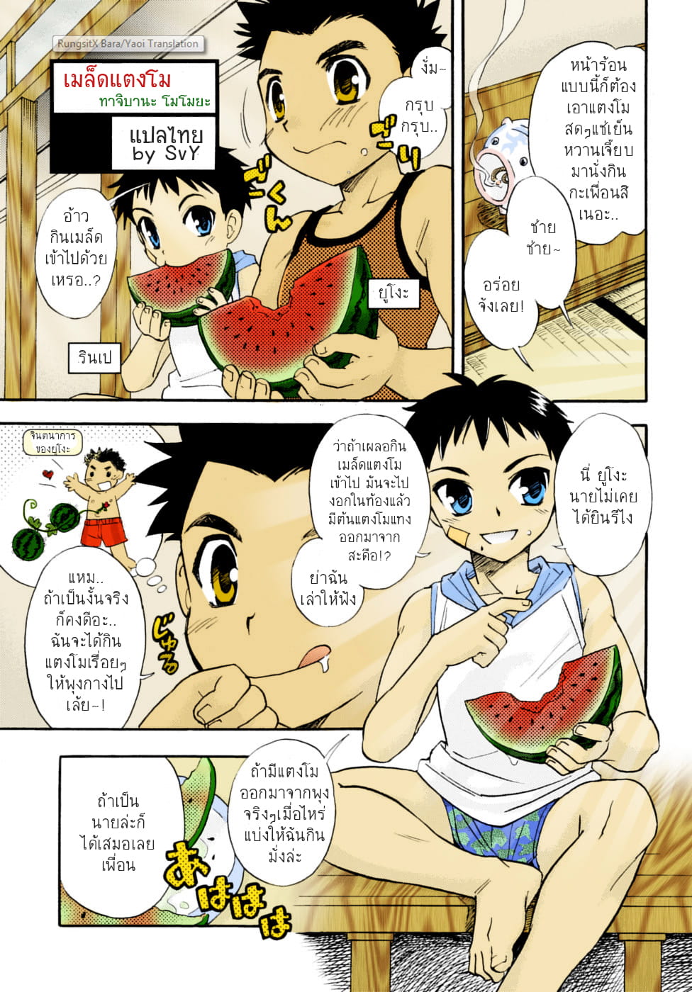 เมล็ดแตงโม-2