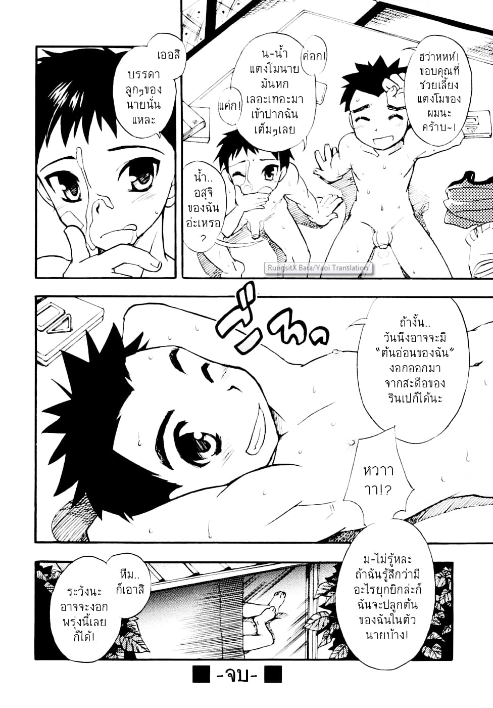 เมล็ดแตงโม-11