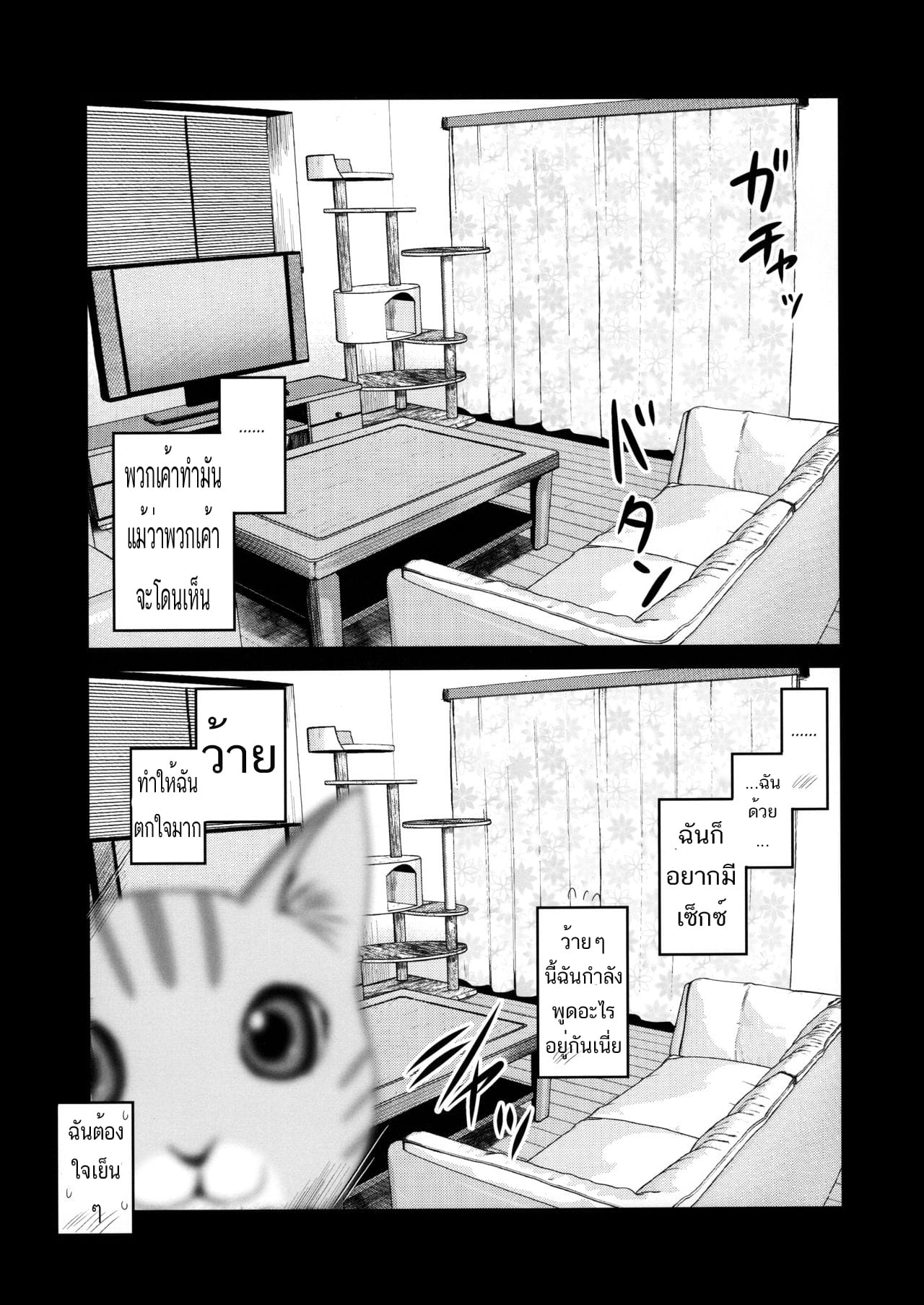 ตั้งกล้องดูแมว แต่เจอน้องกับพี่เอากัน-29