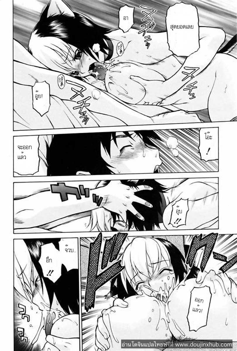 แมวที่เก็บมาเลี้ยง-13