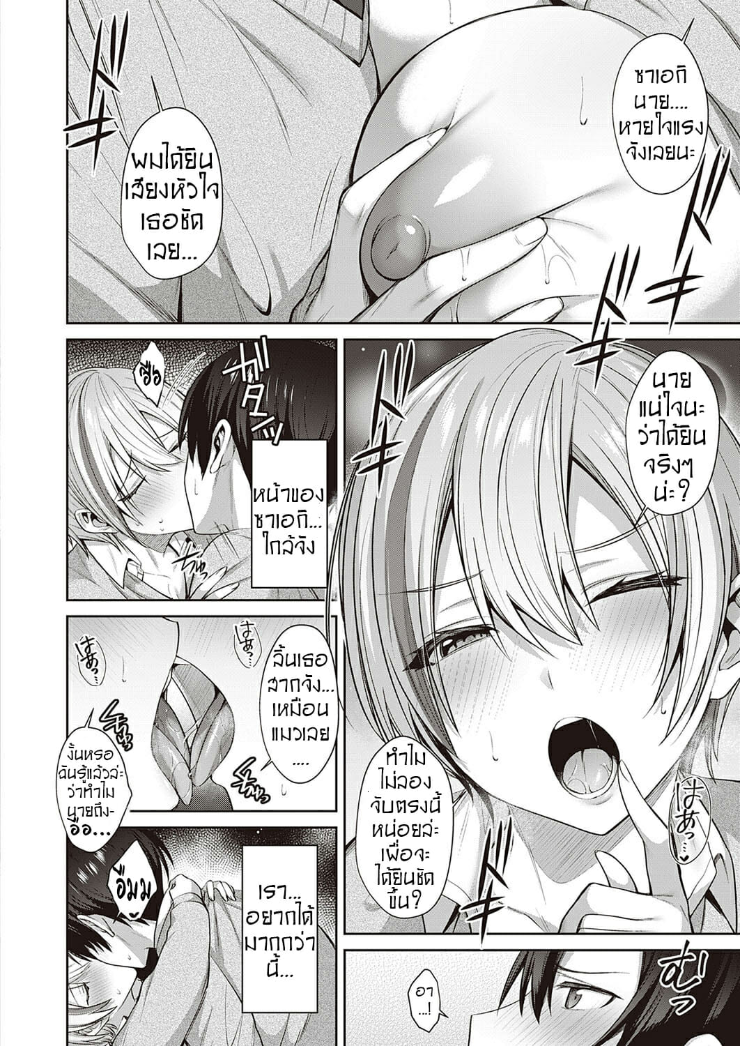 คนรักแมวเหมียว-6
