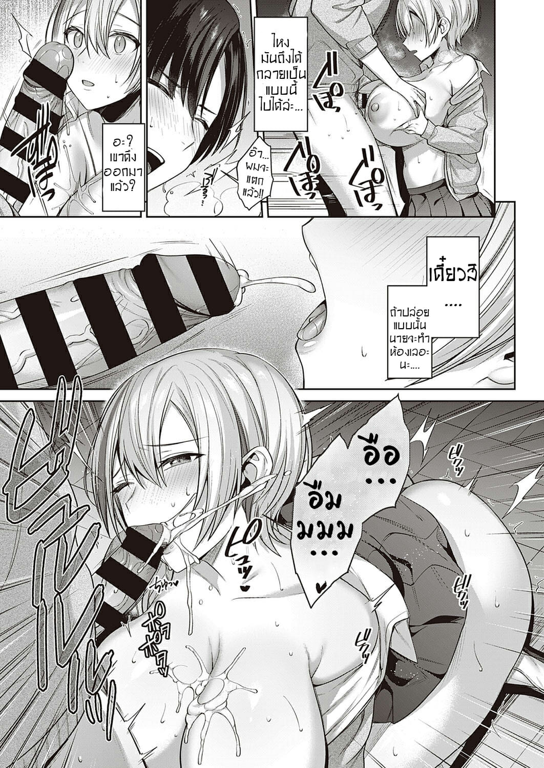 คนรักแมวเหมียว-11
