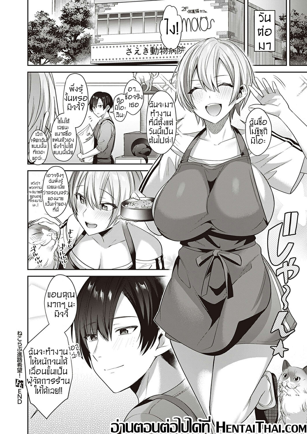 คนรักแมวเหมียว-22