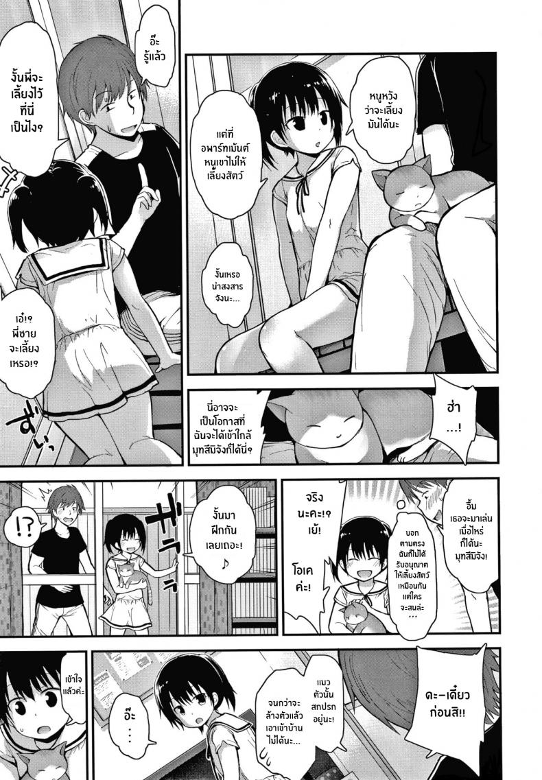 ล่อโลลิด้วยเเมว-3