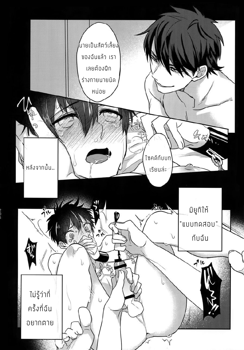 แมวน้อยของผม-23