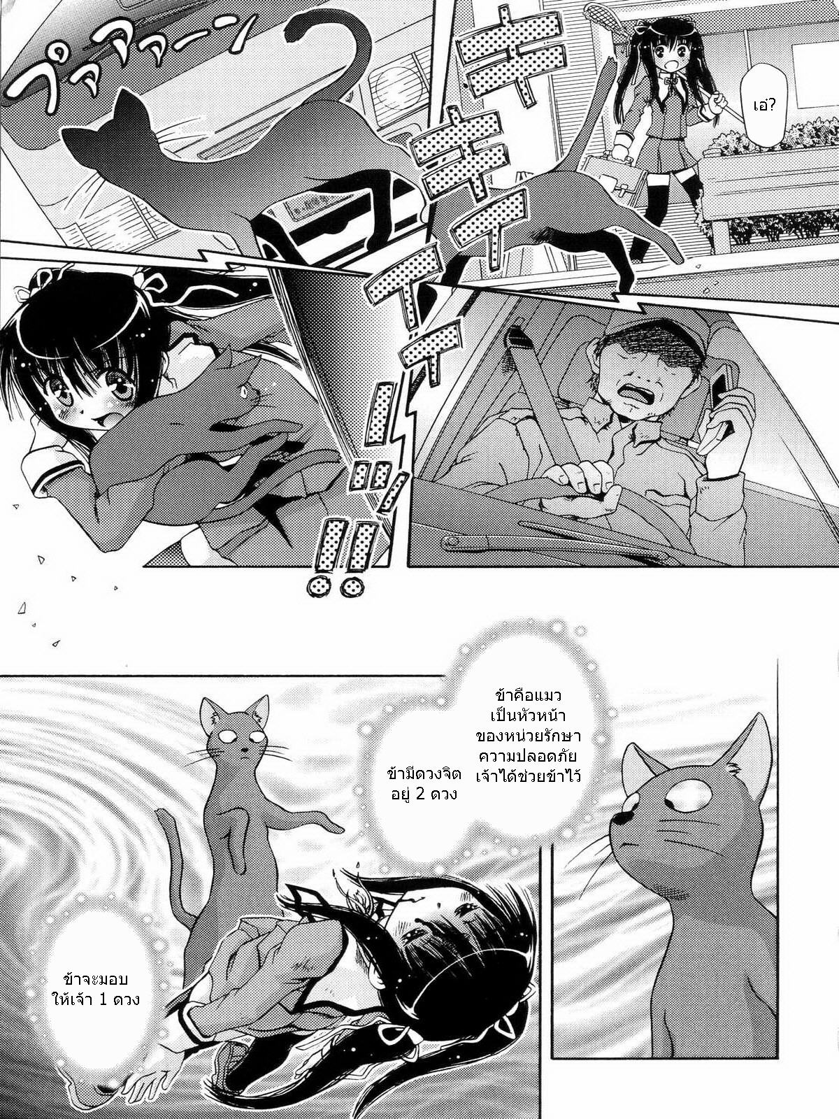 เมื่อน้องสาวกลายเป็นแมว-1