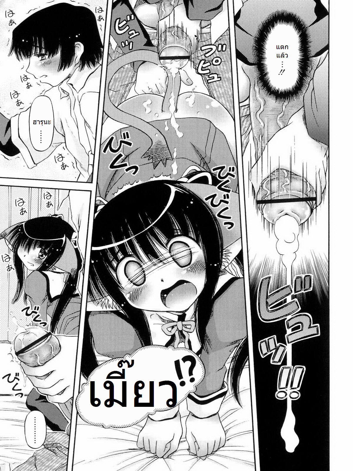 เมื่อน้องสาวกลายเป็นแมว-7